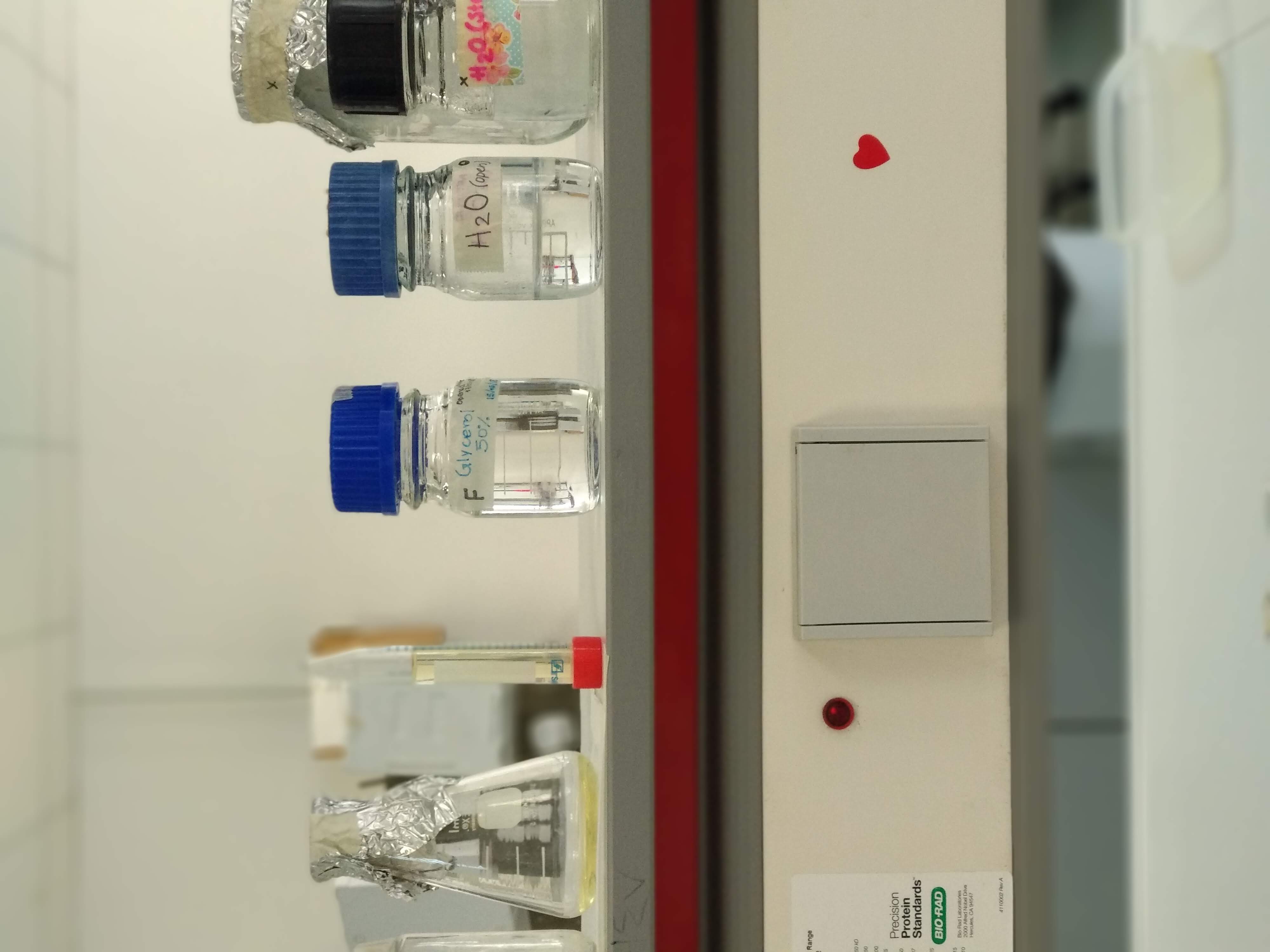 Genetic engineering and plant molecular biology laboratory work