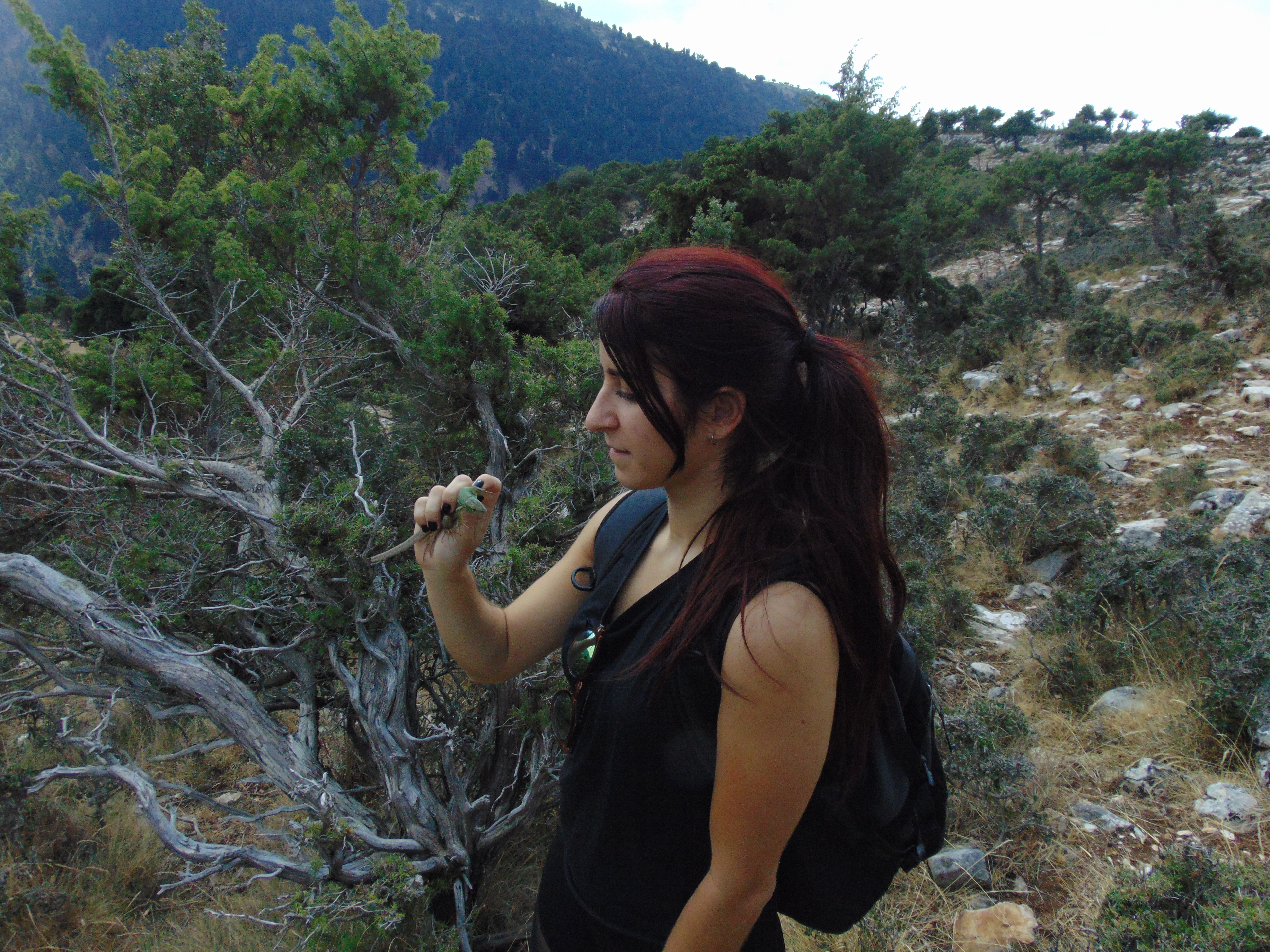 Fieldwork in Greece