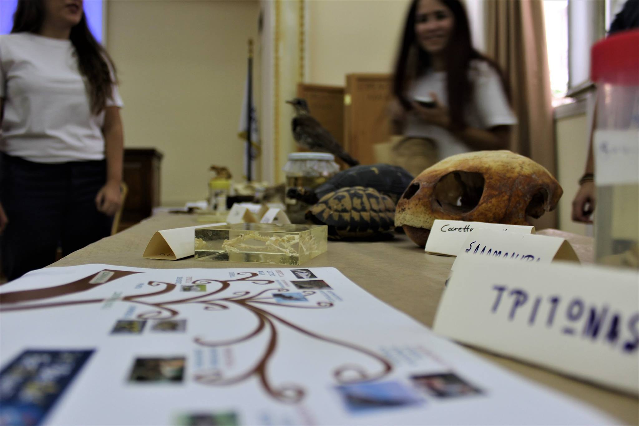 Researchers' Night Greece public engagement photograph 7