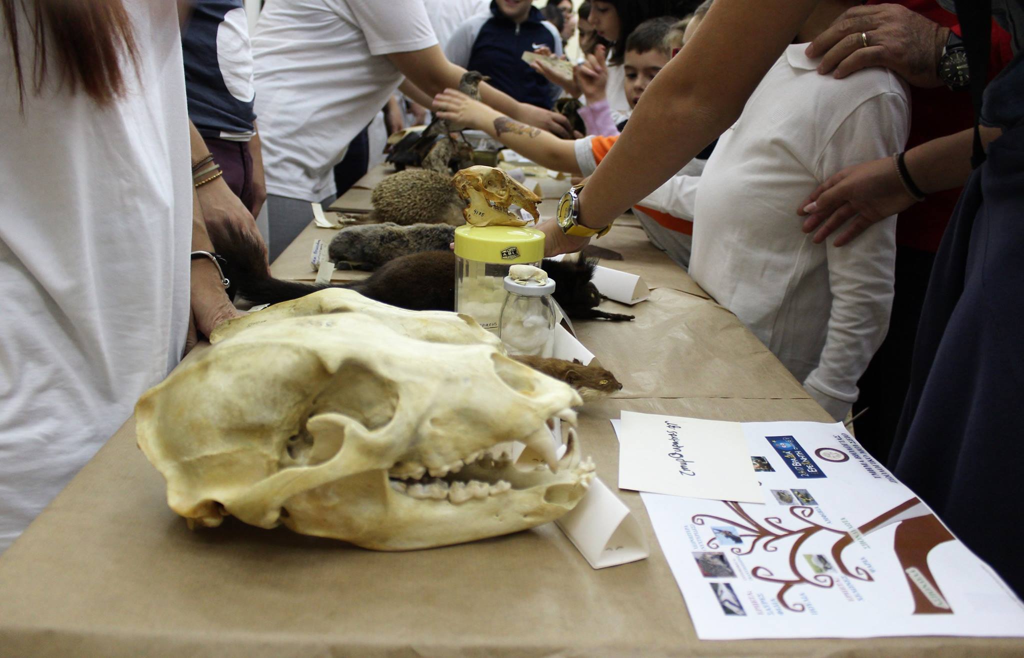 Researchers' Night Greece public engagement photograph 8