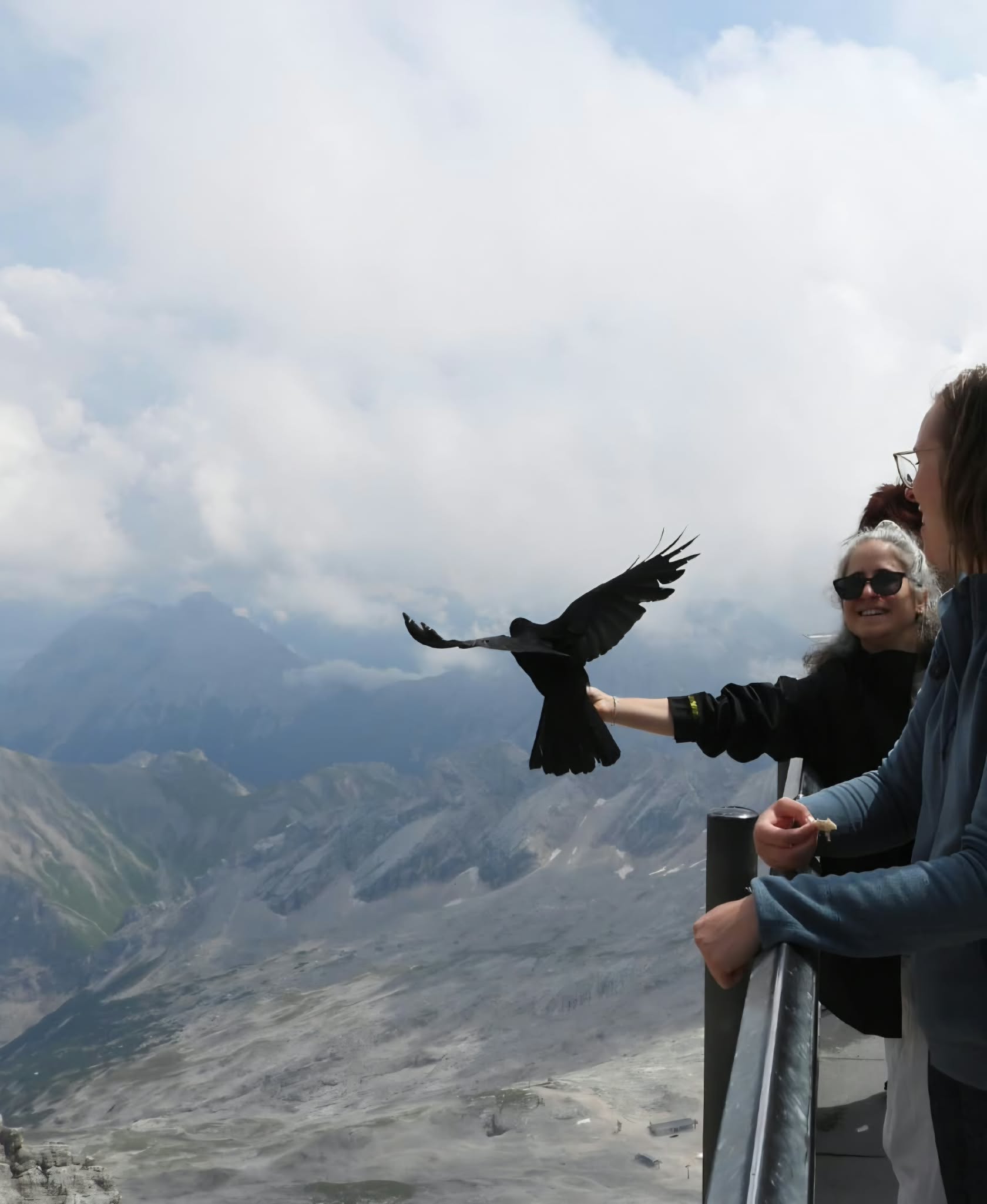 Ptarmigan sampling on the Zugspitze